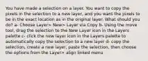 You have made a selection on a layer. You want to copy the pixels in the selection to a new layer, and you want the pixels to be in the exact location as in the original layer. What should you do? a- Choose Layer> New> Layer via Copy b- Using the move tool, drag the selection to the New Layer icon in the Layers palette c- click the new layer icon in the Layers palette to automatically copy the selection to a new layer d- copy the selection, create a new layer, paste the selection, then choose the options from the Layer> align linked menu