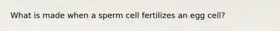 What is made when a sperm cell fertilizes an egg cell?