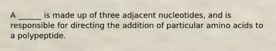 A ______ is made up of three adjacent nucleotides, and is responsible for directing the addition of particular amino acids to a polypeptide.