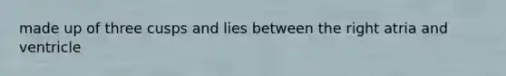 made up of three cusps and lies between the right atria and ventricle