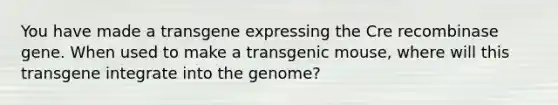 You have made a transgene expressing the Cre recombinase gene. When used to make a transgenic mouse, where will this transgene integrate into the genome?