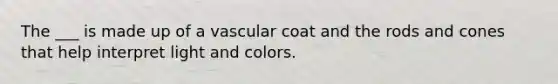 The ___ is made up of a vascular coat and the rods and cones that help interpret light and colors.