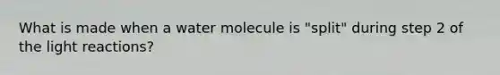 What is made when a water molecule is "split" during step 2 of the light reactions?