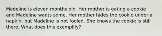 Madeline is eleven months old. Her mother is eating a cookie and Madeline wants some. Her mother hides the cookie under a napkin, but Madeline is not fooled. She knows the cookie is still there. What does this exemplify?