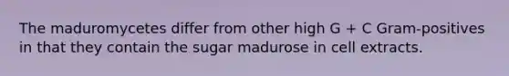 The maduromycetes differ from other high G + C Gram-positives in that they contain the sugar madurose in cell extracts.