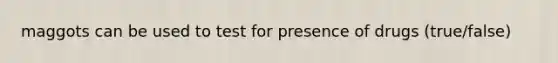 maggots can be used to test for presence of drugs (true/false)