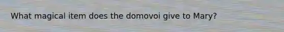 What magical item does the domovoi give to Mary?