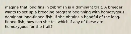 magine that long fins in zebrafish is a dominant trait. A breeder wants to set up a breeding program beginning with homozygous dominant long-finned fish. If she obtains a handful of the long-finned fish, how can she tell which if any of these are homozygous for the trait?