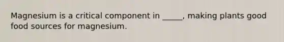 Magnesium is a critical component in _____, making plants good food sources for magnesium.