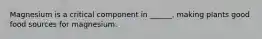 Magnesium is a critical component in ______, making plants good food sources for magnesium.