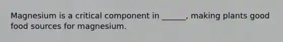 Magnesium is a critical component in ______, making plants good food sources for magnesium.