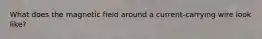 What does the magnetic field around a current-carrying wire look like?