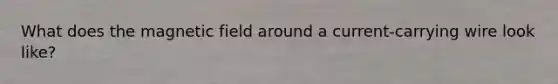What does the magnetic field around a current-carrying wire look like?