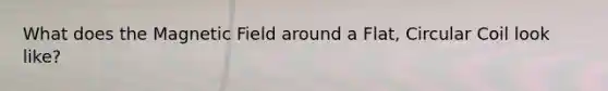 What does the Magnetic Field around a Flat, Circular Coil look like?