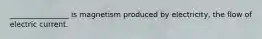 ________________ is magnetism produced by electricity, the flow of electric current.