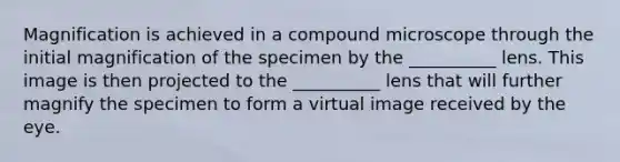 Magnification is achieved in a compound microscope through the initial magnification of the specimen by the __________ lens. This image is then projected to the __________ lens that will further magnify the specimen to form a virtual image received by the eye.