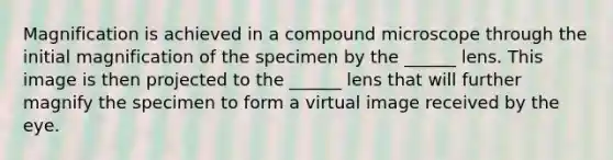 Magnification is achieved in a compound microscope through the initial magnification of the specimen by the ______ lens. This image is then projected to the ______ lens that will further magnify the specimen to form a virtual image received by the eye.