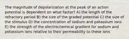 The magnitude of depolarization at the peak of an action potential is dependent on what factor? A) the length of the refractory period B) the size of the graded potential C) the size of the stimulus D) the concentration of sodium and potassium ions E) the strength of the electrochemical gradient for sodium and potassium ions relative to their permeability to these ions