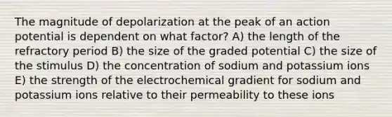 The magnitude of depolarization at the peak of an action potential is dependent on what factor? A) the length of the refractory period B) the size of the graded potential C) the size of the stimulus D) the concentration of sodium and potassium ions E) the strength of the electrochemical gradient for sodium and potassium ions relative to their permeability to these ions