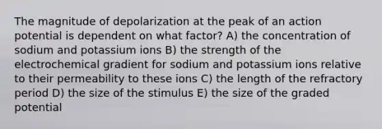 The magnitude of depolarization at the peak of an action potential is dependent on what factor? A) the concentration of sodium and potassium ions B) the strength of the electrochemical gradient for sodium and potassium ions relative to their permeability to these ions C) the length of the refractory period D) the size of the stimulus E) the size of the graded potential