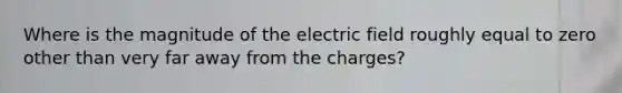 Where is the magnitude of the electric field roughly equal to zero other than very far away from the charges?