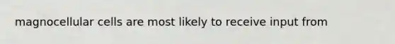 magnocellular cells are most likely to receive input from