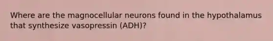 Where are the magnocellular neurons found in the hypothalamus that synthesize vasopressin (ADH)?