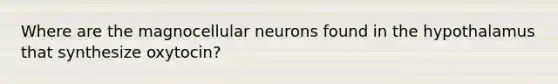 Where are the magnocellular neurons found in the hypothalamus that synthesize oxytocin?