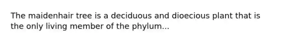 The maidenhair tree is a deciduous and dioecious plant that is the only living member of the phylum...