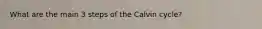 What are the main 3 steps of the Calvin cycle?