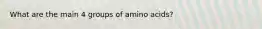 What are the main 4 groups of amino acids?