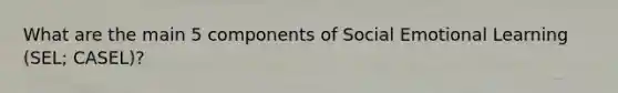 What are the main 5 components of Social Emotional Learning (SEL; CASEL)?