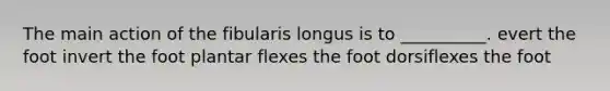 The main action of the fibularis longus is to __________. evert the foot invert the foot plantar flexes the foot dorsiflexes the foot