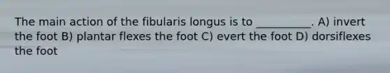 The main action of the fibularis longus is to __________. A) invert the foot B) plantar flexes the foot C) evert the foot D) dorsiflexes the foot