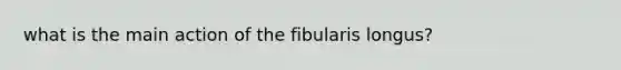 what is the main action of the fibularis longus?