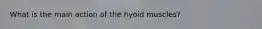 What is the main action of the hyoid muscles?