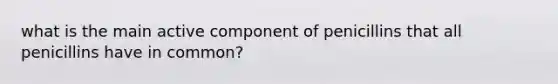 what is the main active component of penicillins that all penicillins have in common?