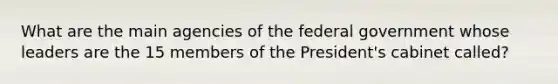 What are the main agencies of the federal government whose leaders are the 15 members of the President's cabinet called?