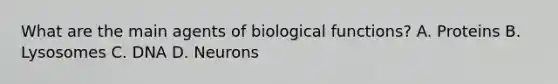 What are the main agents of biological functions? A. Proteins B. Lysosomes C. DNA D. Neurons