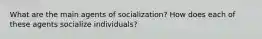 What are the main agents of socialization? How does each of these agents socialize individuals?