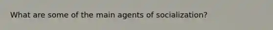 What are some of the main agents of socialization?