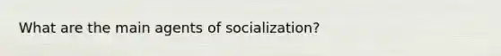 What are the main agents of socialization?