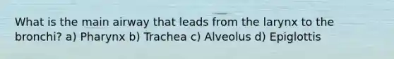 What is the main airway that leads from the larynx to the bronchi? a) Pharynx b) Trachea c) Alveolus d) Epiglottis