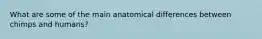 What are some of the main anatomical differences between chimps and humans?