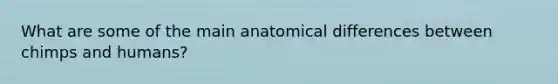 What are some of the main anatomical differences between chimps and humans?