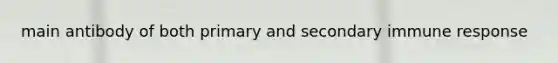 main antibody of both primary and secondary immune response