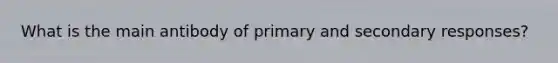 What is the main antibody of primary and secondary responses?