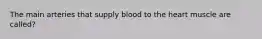 The main arteries that supply blood to the heart muscle are called?