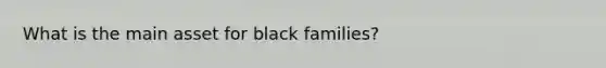 What is the main asset for black families?