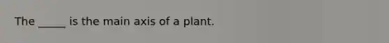 The _____ is the main axis of a plant.